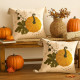 Cushion